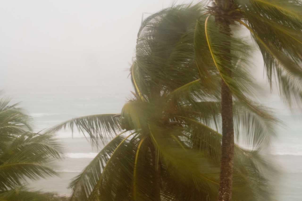 Palm trees bending in hurricane winds on Florida coast showing the need for storm-resistant roofing by ERS Construction
